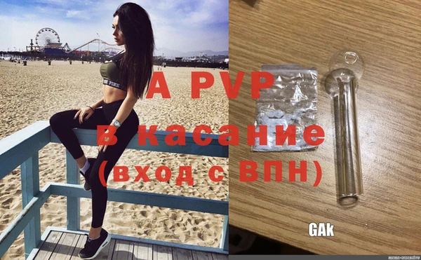 сатива Абаза