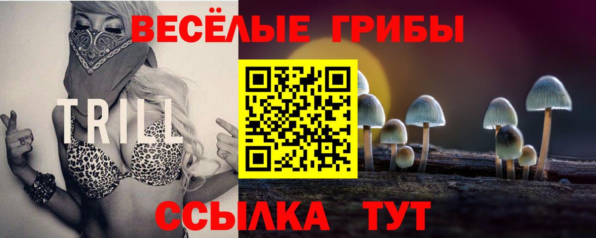 Псилоцибиновые грибы мухоморы  где продают   Галлюциногенные грибы прущие грибы  Алатырь  Вход с VPN 